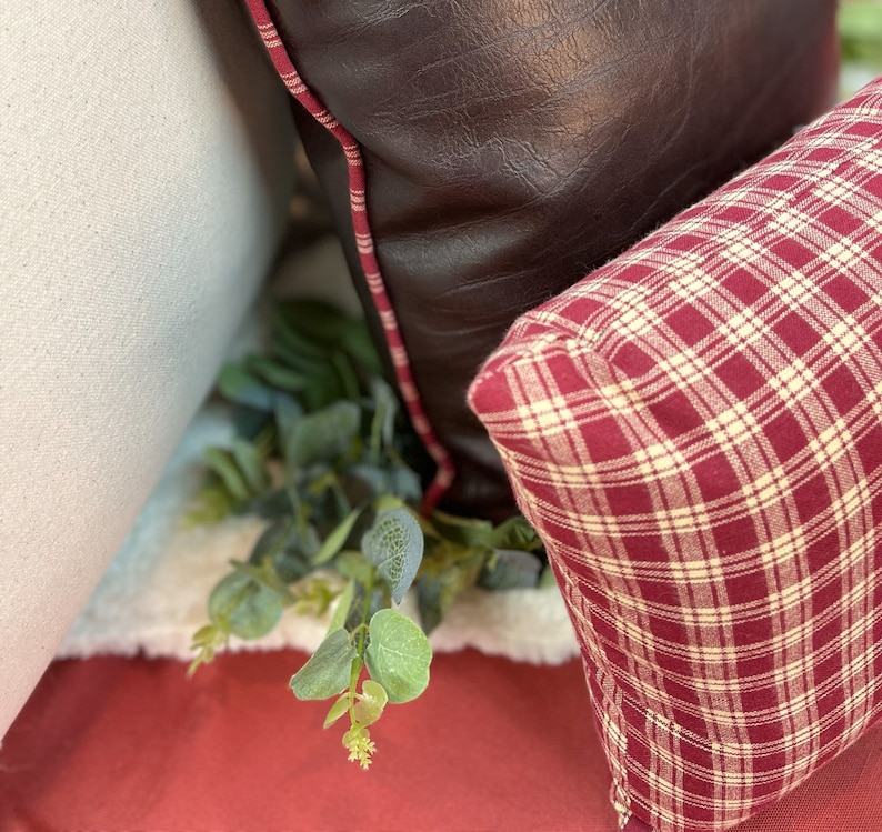 May include: Two throw pillows, one with a brown faux leather cover and the other with a red and white plaid pattern. The pillows are sitting on a red surface with a green plant in the foreground.