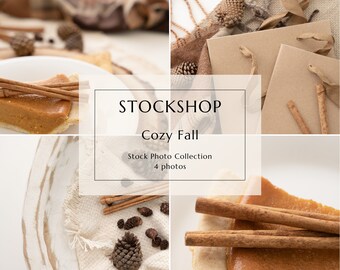 Fall Stock Photos - Thanksgiving Stock Photography - Social Media Stock Photo Bundle - Business Stock Photo - Neutral Stock Photos