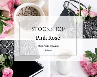 Pink Rose Stock Photo Collection