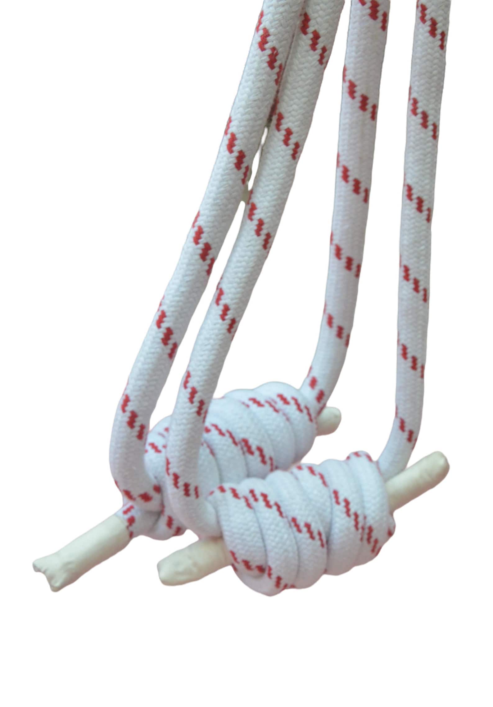 Iyengar Yoga Wall Ropes set of 15 Ropes2 Long 2 Small,yoga Ropes for Studio, Cotton Yoga Ropes