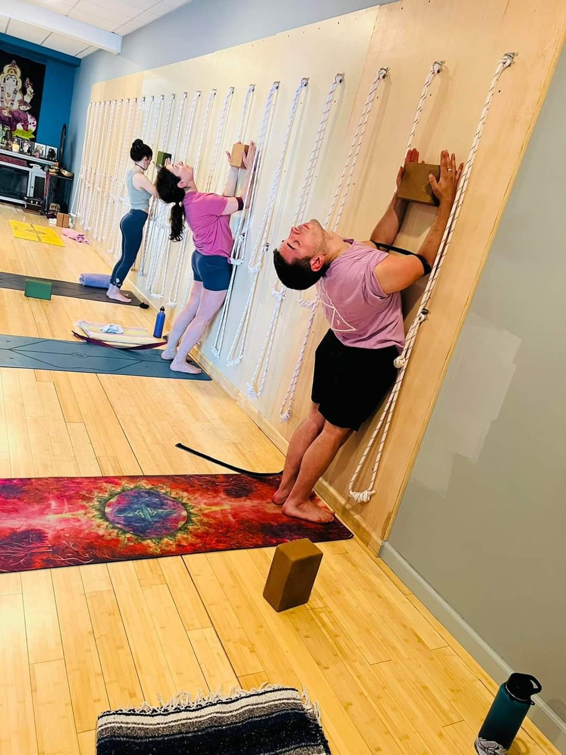 YOGA-NATION Iyengar Yoga Wall Ropesset of 4 Ropes-2 Long 2 - Etsy