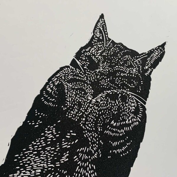 Fred the cat | original hand printed lino cut in black ink | hand made linocut blockprint art for cat lovers by Megan Abel