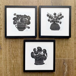 Set of 3 prints Pilea peperomioides Nasturtium Physalis | Linocut block | black and white art for plant lovers | Hand printed by Megan Abel