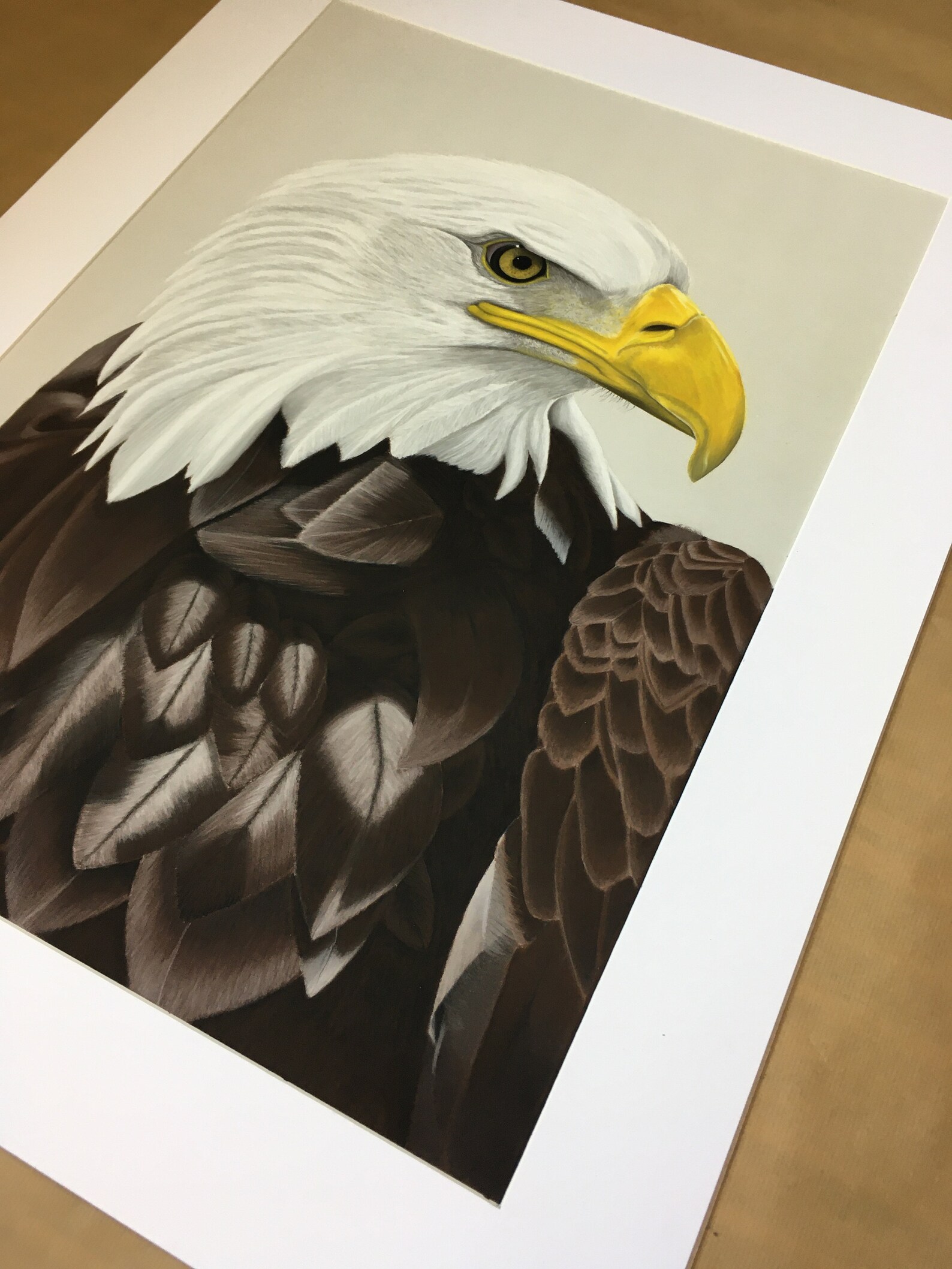 Eagle. A pastel drawing on Pastelmat paper. Etsy