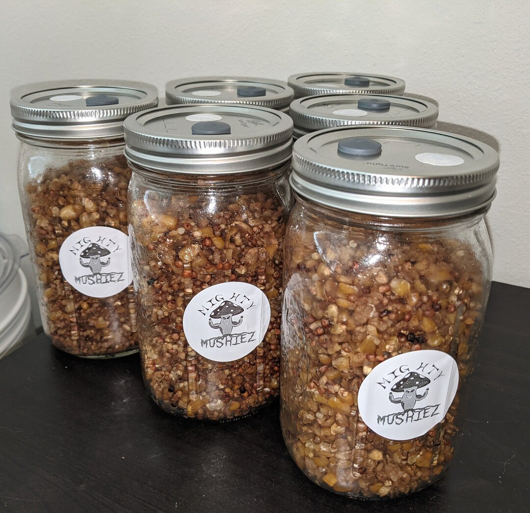 Mushroom Spawn Jars Etsy