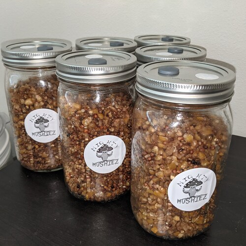 32 Oz. White Millet Grain Spawn Jars Presterilized Jars Etsy