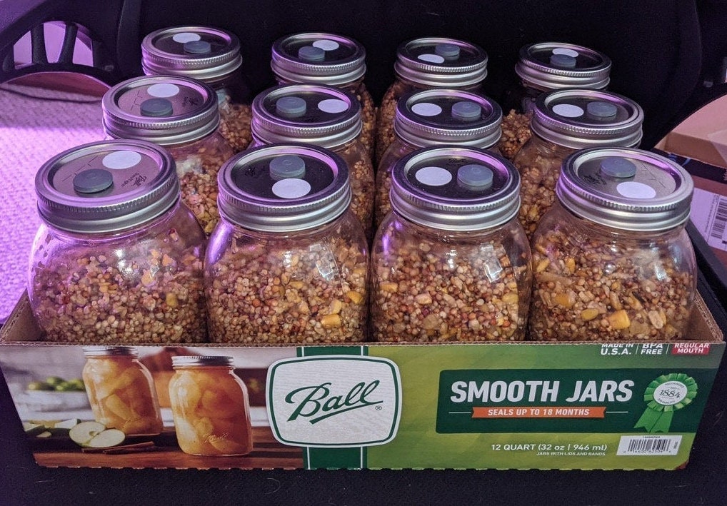 Mushroom Spawn Jars Etsy