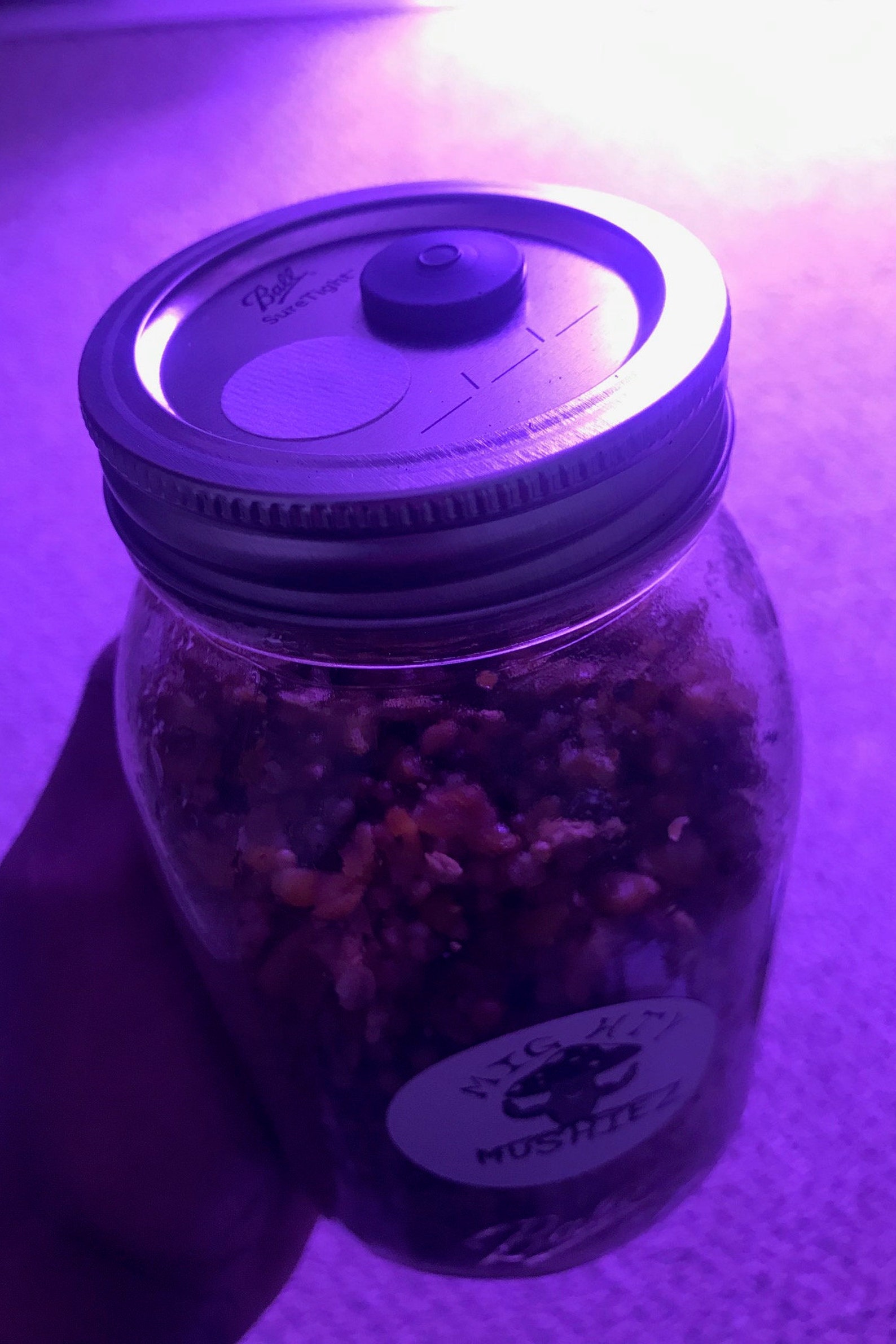 Mushroom Spawn Jars Etsy