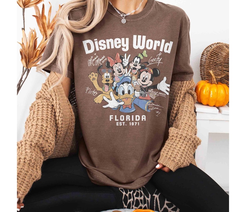 May include: Brown t-shirt featuring the words "Disney World" and a graphic of Disney characters including Mickey Mouse, Minnie Mouse, Donald Duck, and Goofy. The text "Florida Est. 1971" is also printed on the shirt.