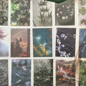 May include: A collection of fifteen rectangular stickers featuring various nature-themed imagery, including rain-slicked city streets, cherry blossoms, koi fish in water, green foliage, and fallen leaves, all displayed in a grid layout on a sheet.