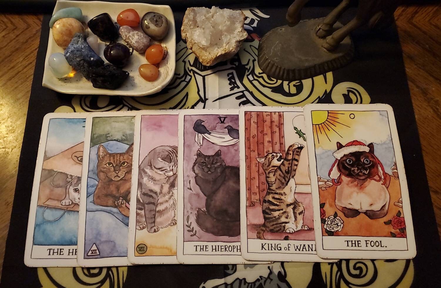 6 Card Pull Tarot Reading1 Oracle Pull With Cat Tarot Video Etsy