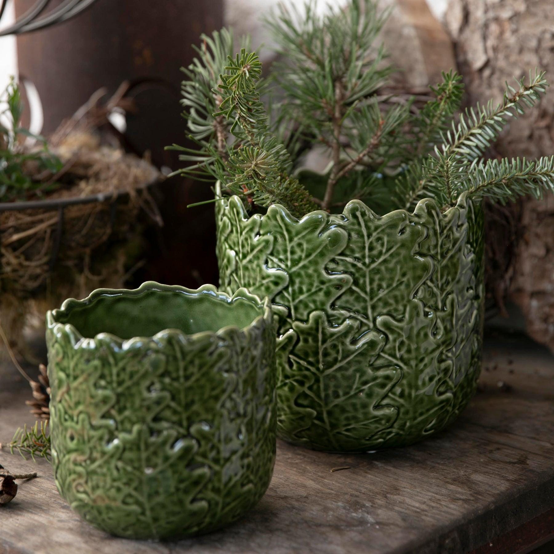 Zahnförmiger Keramik-Blumentopf – Weiß, 6,8x9,9 Cm, Mit Drainageloch Für Sukkulenten & Kakteen