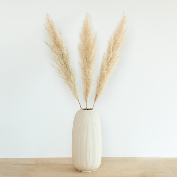 Pampasgras fluffy 70cm | Trockenblumen | Dried Flowers | DIY | Trockenblumenstrauß | Kranz | getrocknet | getrocknete Blumen