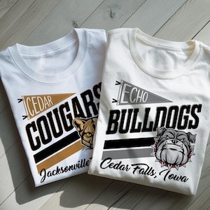 Custom Vintage Football Mascot Shirt, We Are Mascot School Name Shirt, Favorite Team Shirt, Custom Mascot Retro Shirts, Mascot Spirit Tee