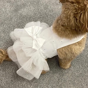 Diamond - Dog Party Dress (Wedding/Event)