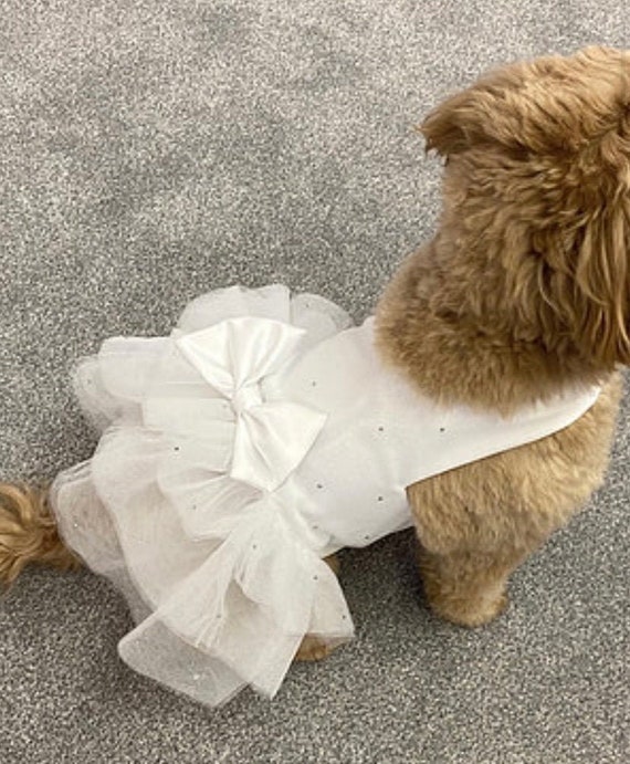 Dog party dress 2025