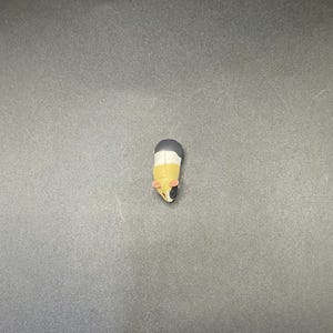 May include: A small, colourful guinea pig figurine. The figurine has a black and white back, a yellow body, and a white face with black eyes. The guinea pig is positioned upright, facing the viewer.