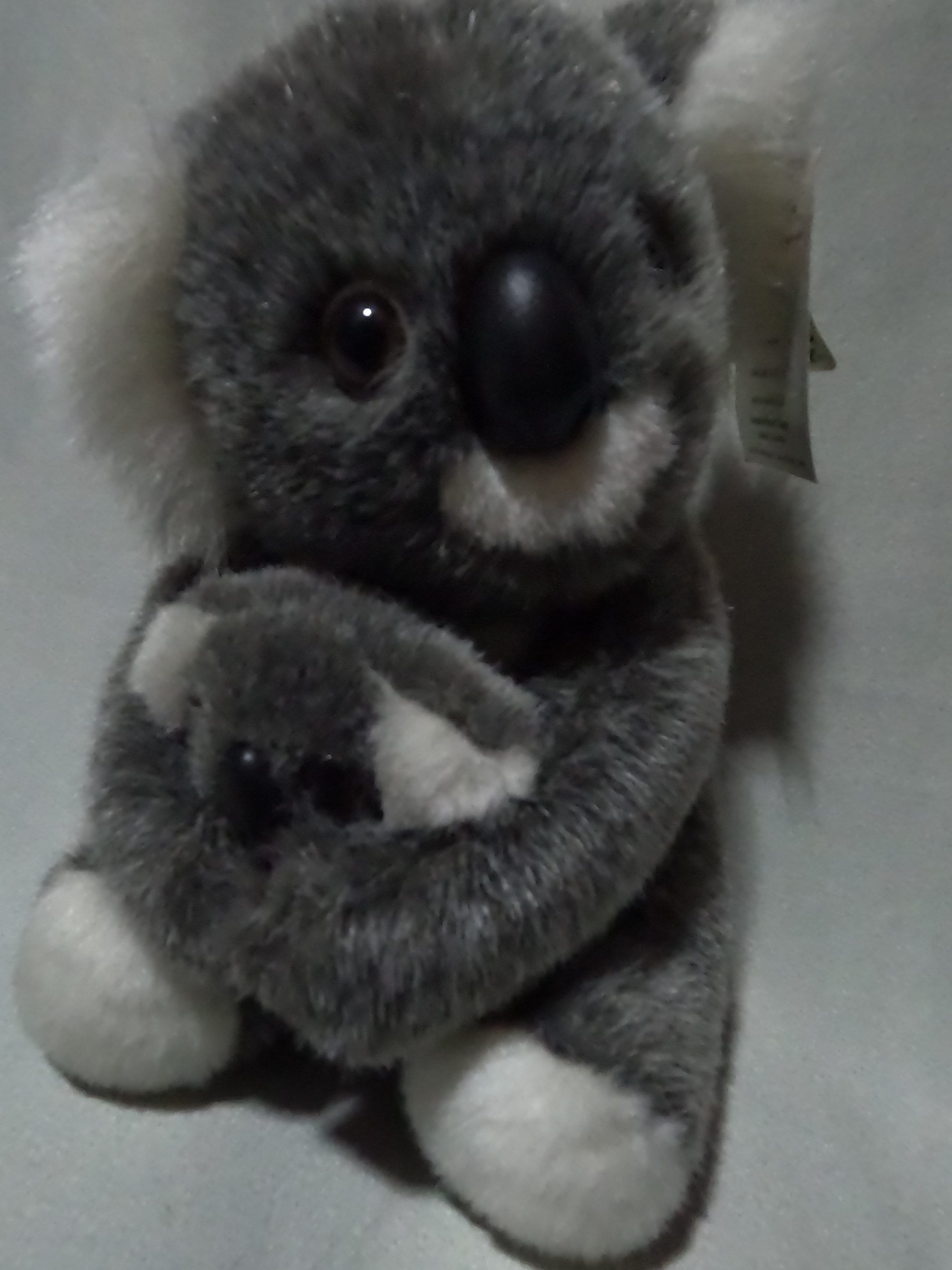 ぬいぐるみ　コアラ 楽天市場】ケーセン ぬいぐるみ kosen コアラ（小） 16cm Koala