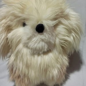 Peut inclure: Un chien en peluche blanc et moelleux avec des yeux noirs et un nez noir.