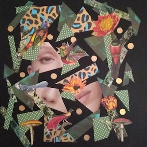 Peut inclure: Une œuvre d'art en collage sur fond noir représentant un visage humain partiellement masqué par des formes géométriques, des motifs léopard, des triangles verts à pois, des cercles dorés, divers oiseaux colorés, des fleurs et des champignons.