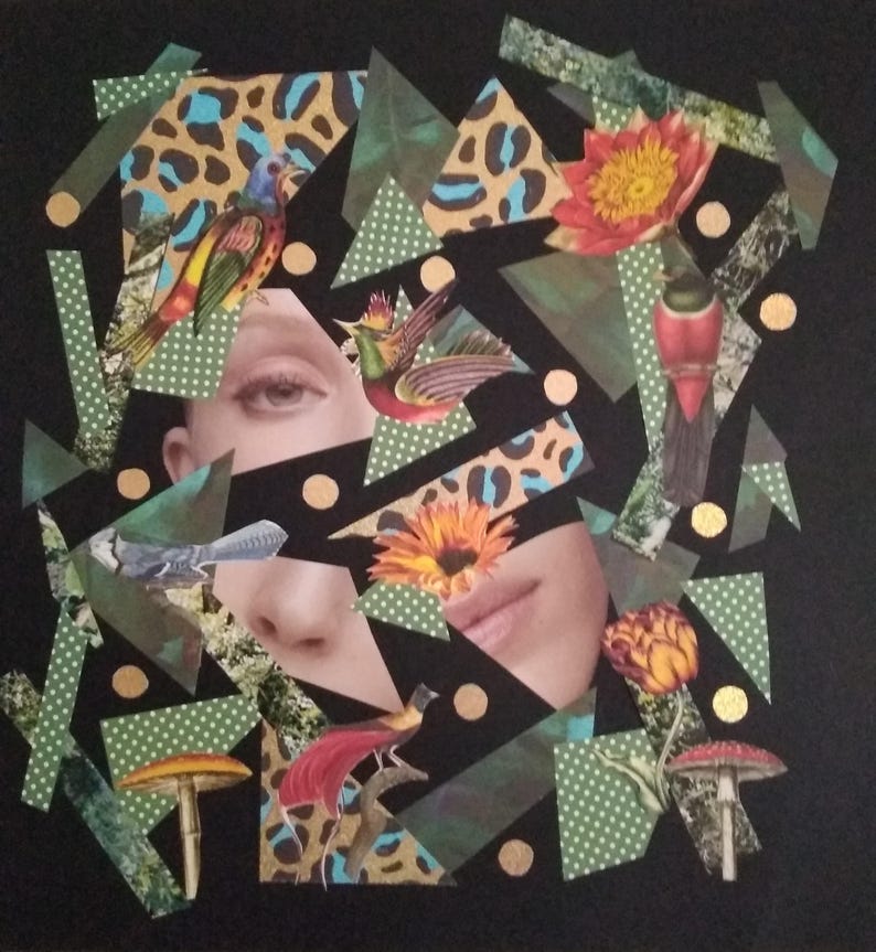 Op de afbeelding: Een collage-kunstwerk op een zwarte achtergrond met een menselijk gezicht dat gedeeltelijk wordt bedekt door geometrische vormen, luipaardprints, groene driehoeken met stippen, gouden cirkels, diverse kleurrijke vogels, bloeiende bloemen en paddenstoelen.