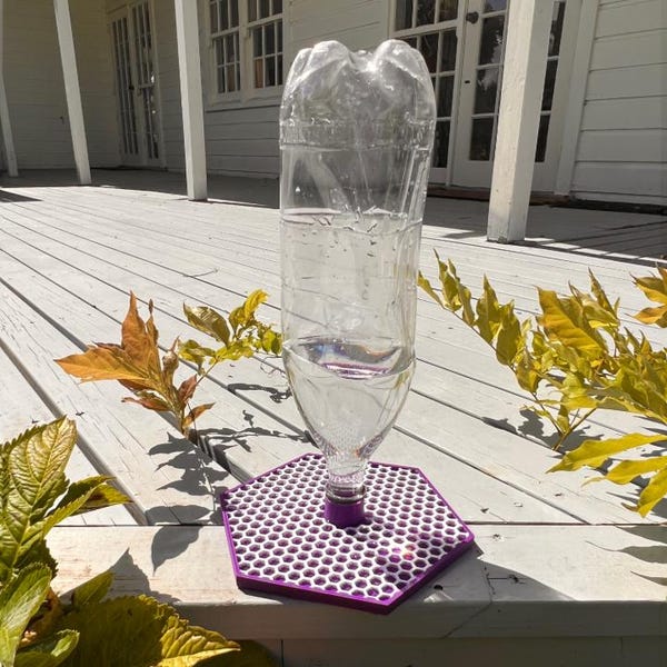 The Original Awesome Bee Feeder!