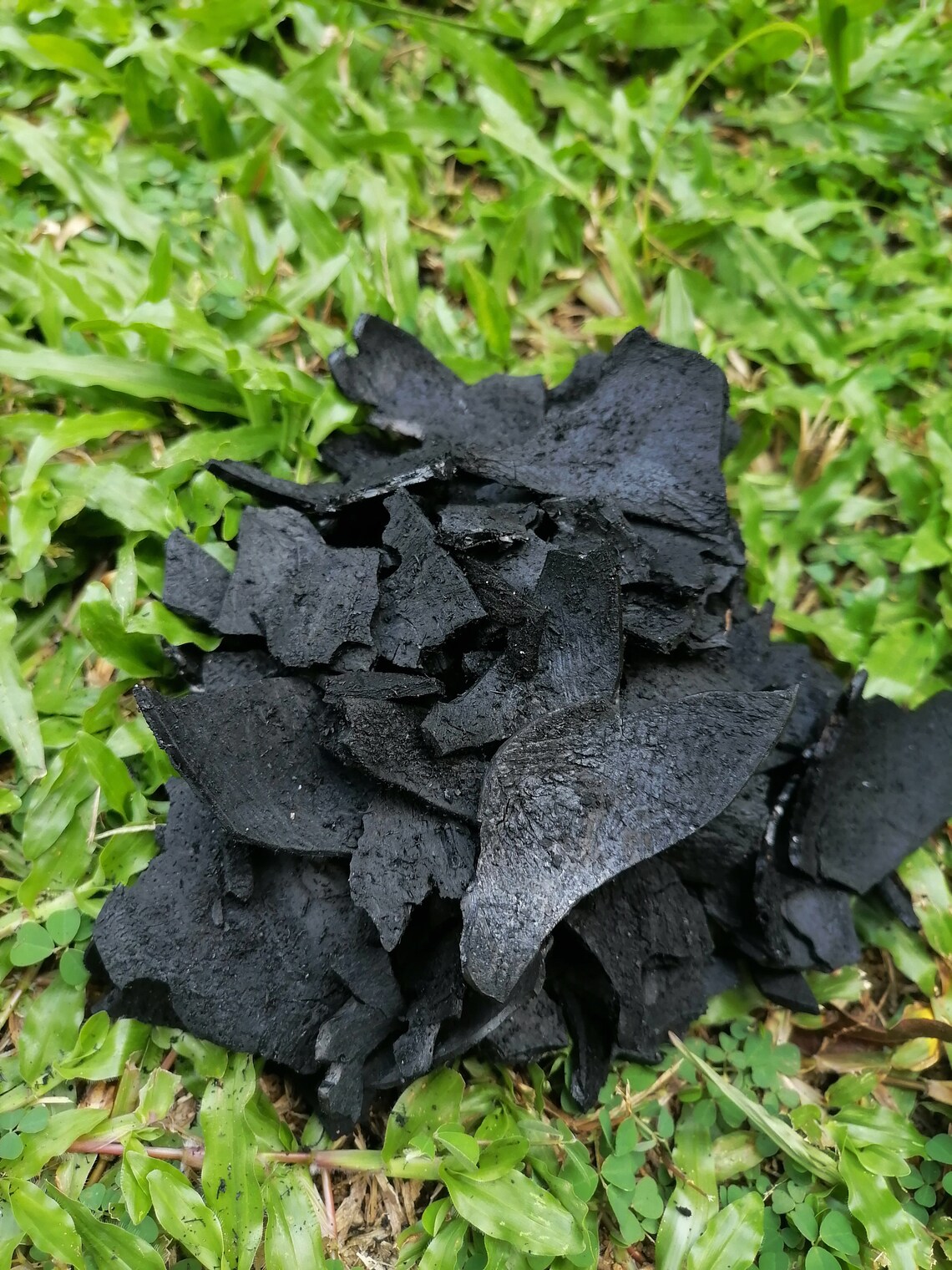 Natural coconut shell activated charcoal Pure organic coconut Etsy