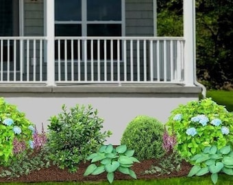 Landscape Design Plan 'Farmington'