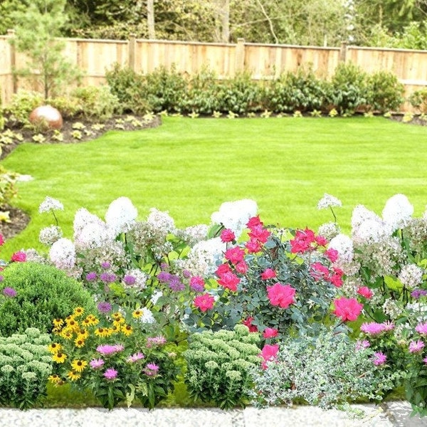 Landscape Design Plan for Sunny Flower Border - Etsy Canada