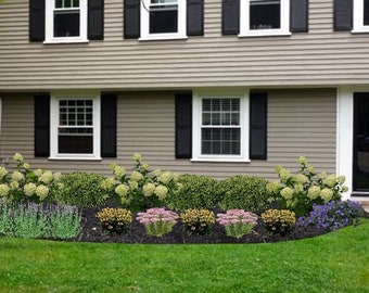 Landscape design front of on sale house
