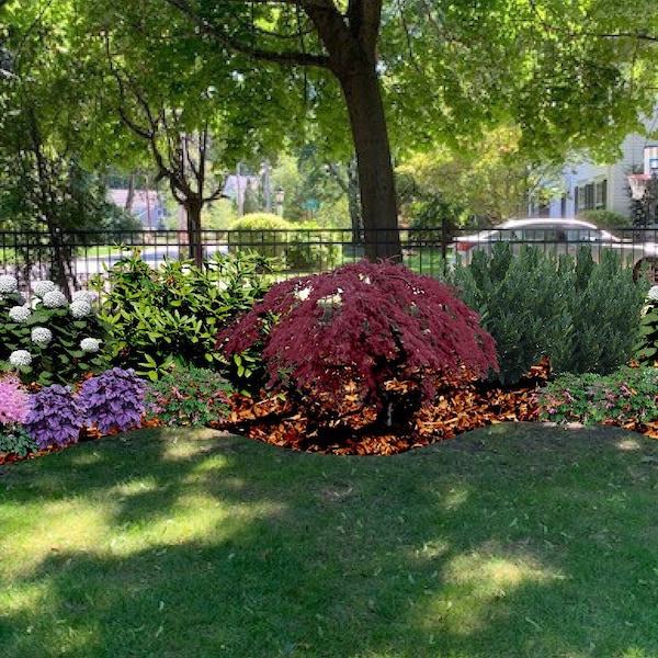 Landschaftsgestaltungsplan für Full Shade Border Garden