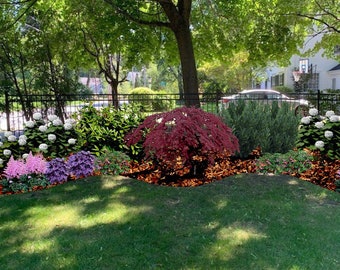Landscape Design Plan for Full Shade Border Garden