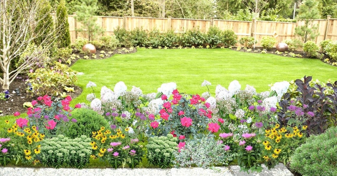 Landscape Design Plan for Sunny Flower Border - Etsy