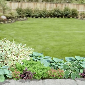 Landscape Design Plan for Shady Perennial Garden
