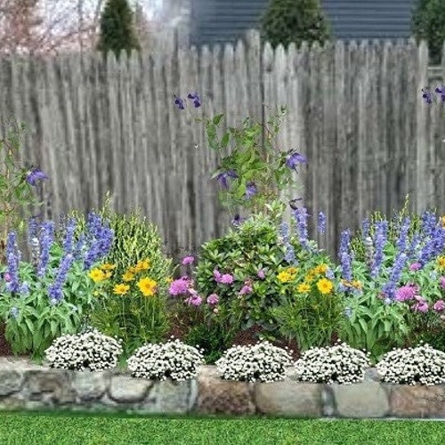 Landscape Design Plan for Full Shade Border Garden - Etsy