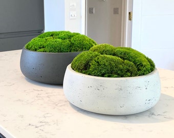 Californian Moss Bowls Made From Real Preserved Moss