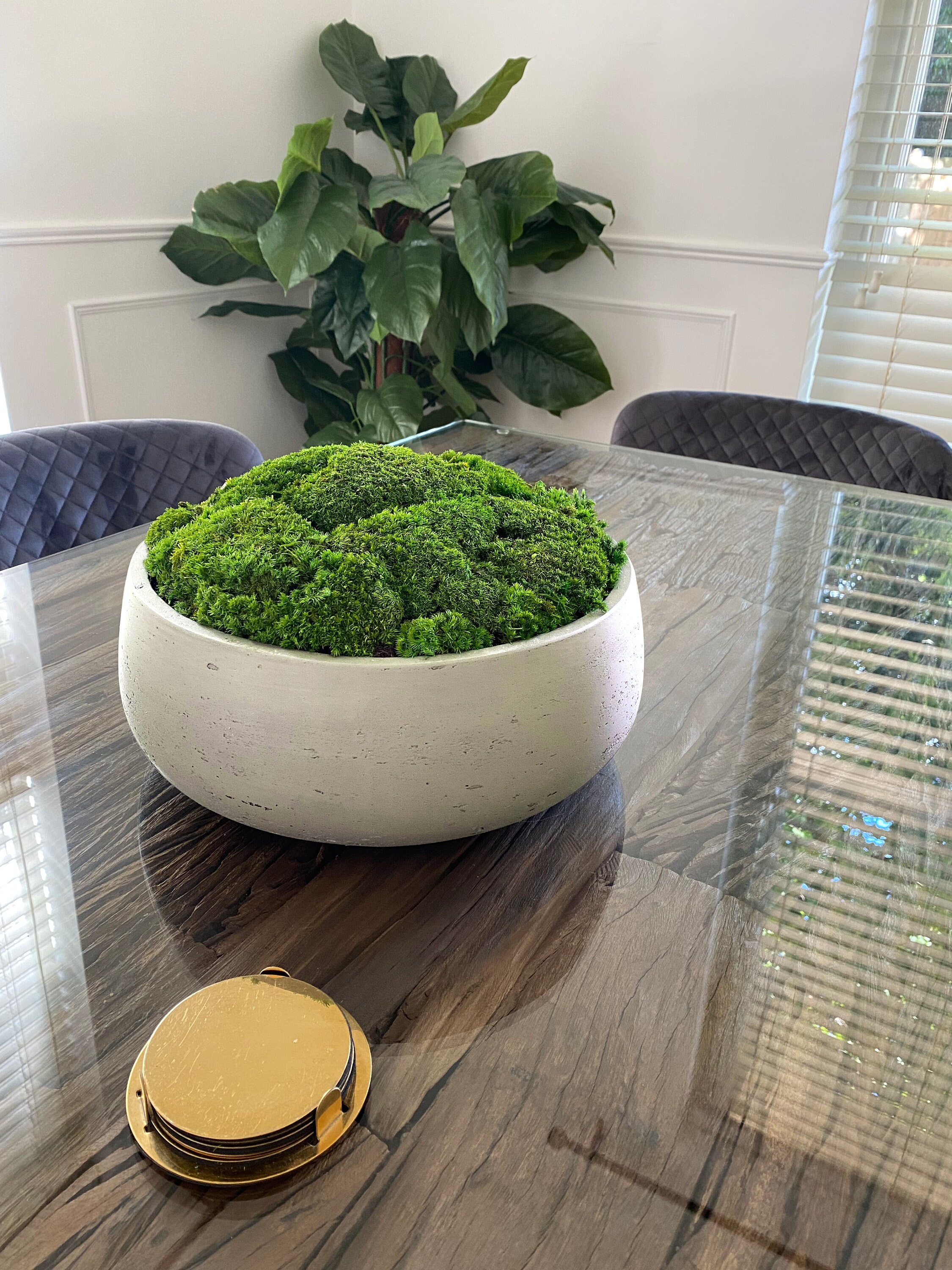 Californian Moss Bowls made from Preserved Moss Etsy