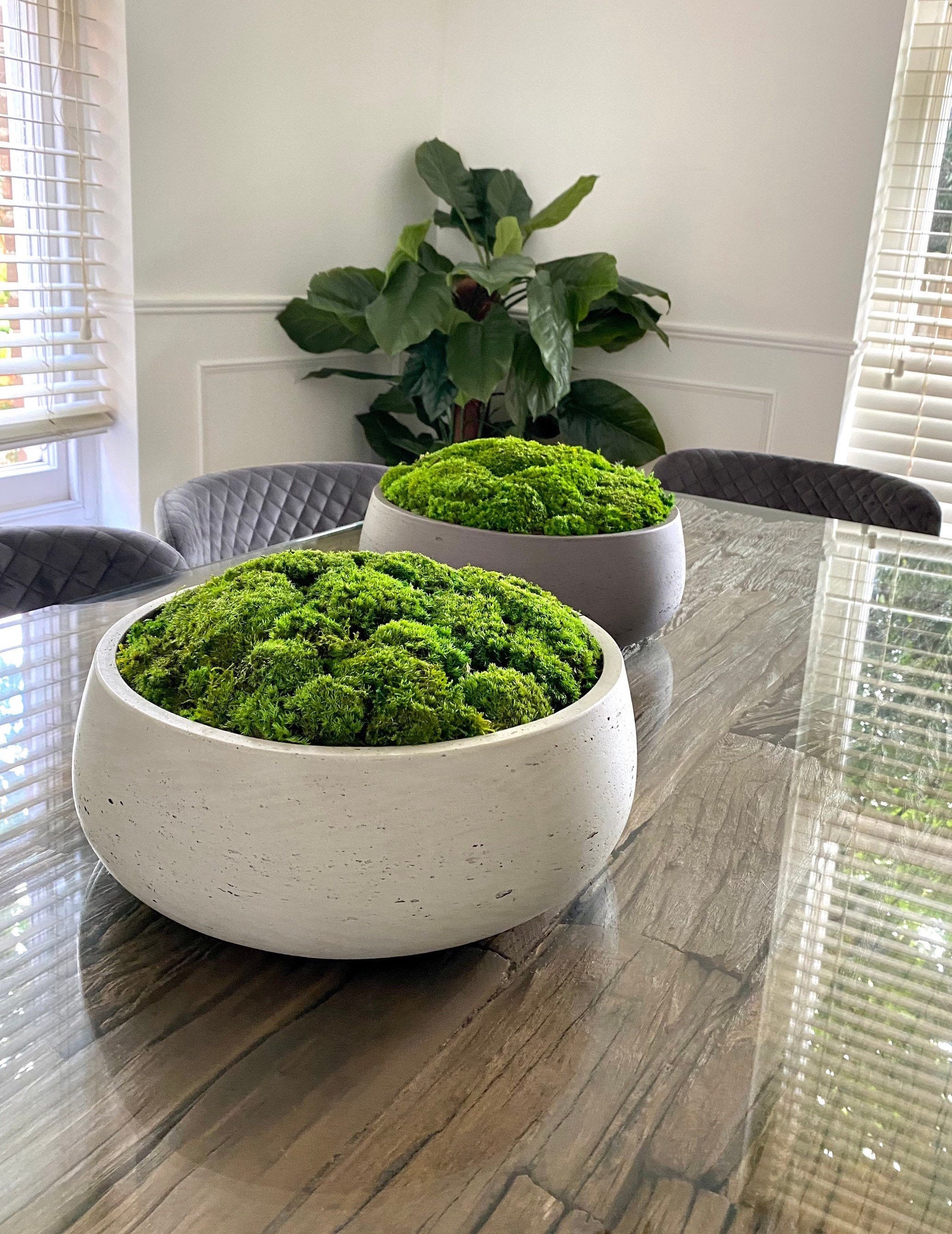 Californian Moss Bowls made from Preserved Moss Etsy