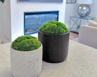 Californian Moss Pots Made From Real Preserved Moss