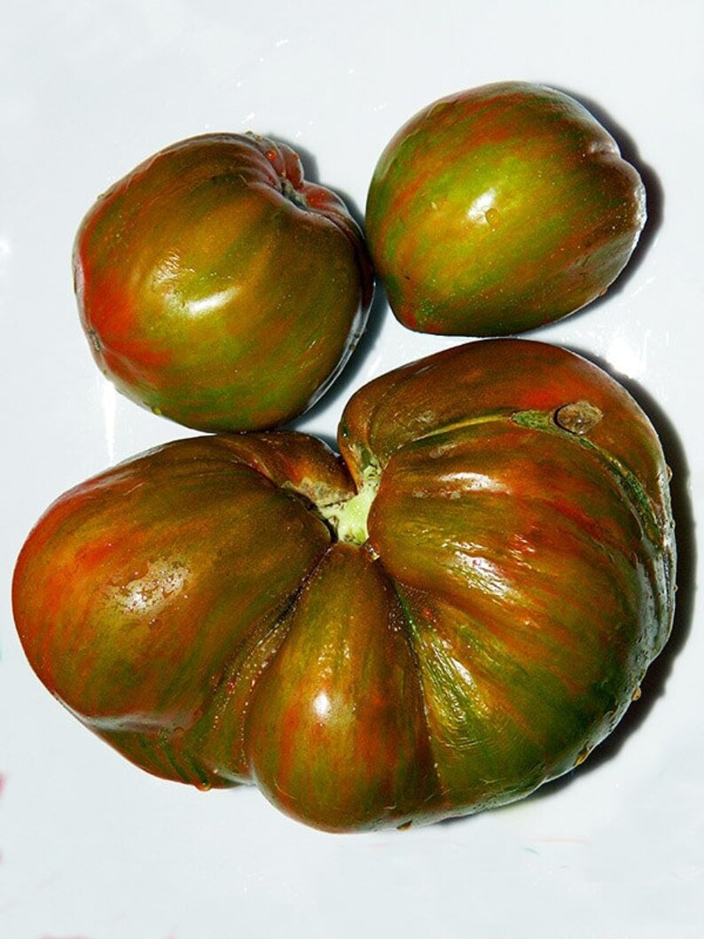 Томат беркель. Томат беркли тай дай хаат. Сорт томатов беркли тай дай. Томат беркли тай дай. Томат тай беркли грин.