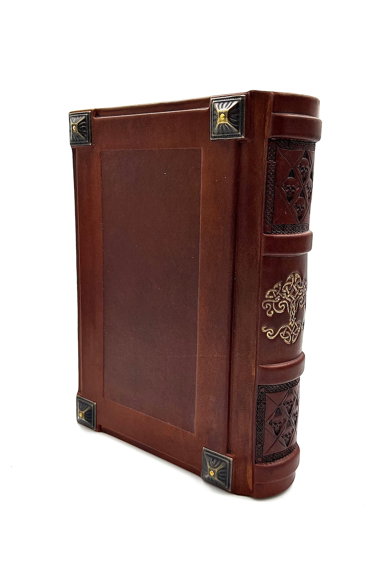 Helm of Awe lederen dagboek, Viking Noors heidens boek afbeelding 7