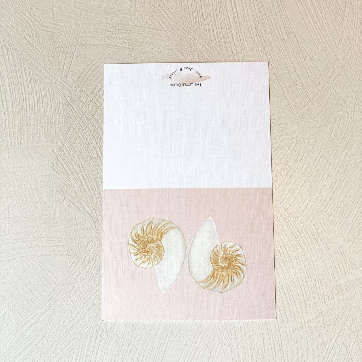 Seashell Cards Beach Seashells Beach Greeting Cards Beach Card Sets ...