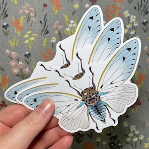 Cicada Sticker | Large Vinyl Stickers