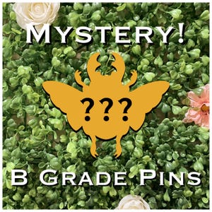 以下が含まれることがあります： 「MYSTERY！」の文字と、黄色い昆虫のような形に疑問符が3つ描かれた画像。下には「B GRADE PINS」の文字が表示されています。背景は、緑の葉のテクスチャに白とピンクの花が咲いています。