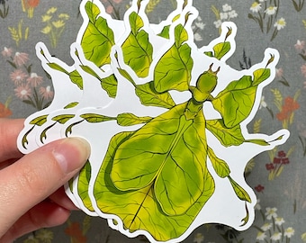 Leaf Bug Sticker | Walking Leaf Insect | Large Vinyl Stickers