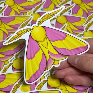 Rosy Maple Moth Sticker | Large Vinyl Stickers