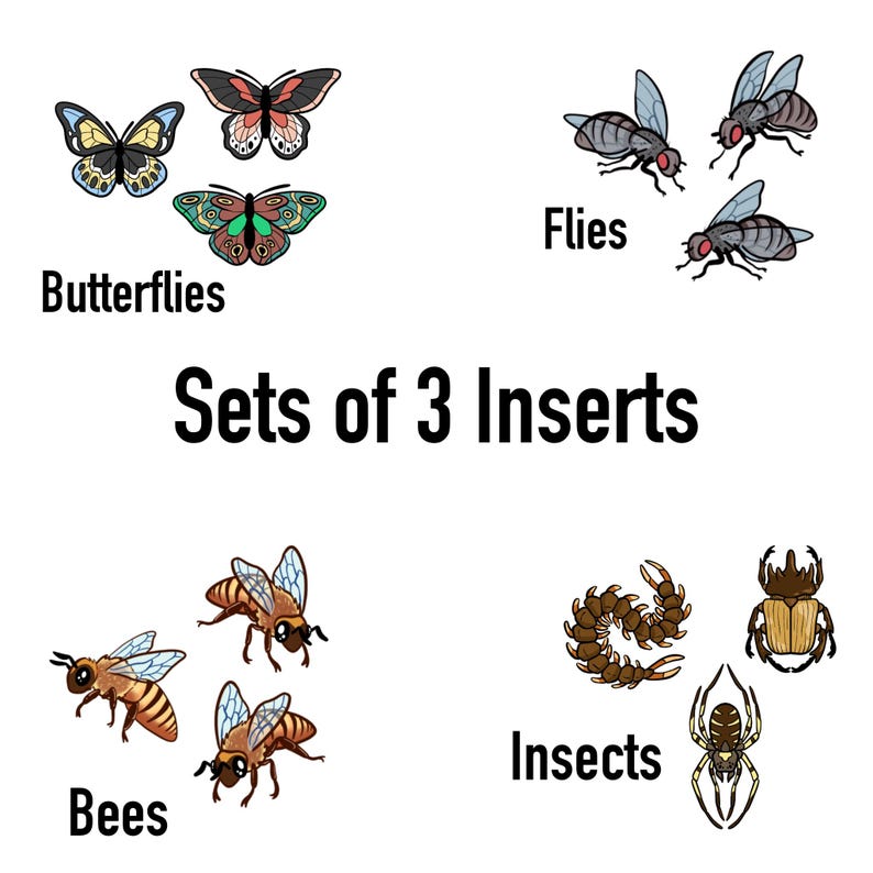 Puede incluir: Un conjunto de tres ilustraciones de insectos, que incluyen mariposas, moscas y abejas. Las ilustraciones son coloridas y detalladas, con un estilo de dibujos animados. El texto "Sets of 3 Inserts" se muestra sobre las ilustraciones.