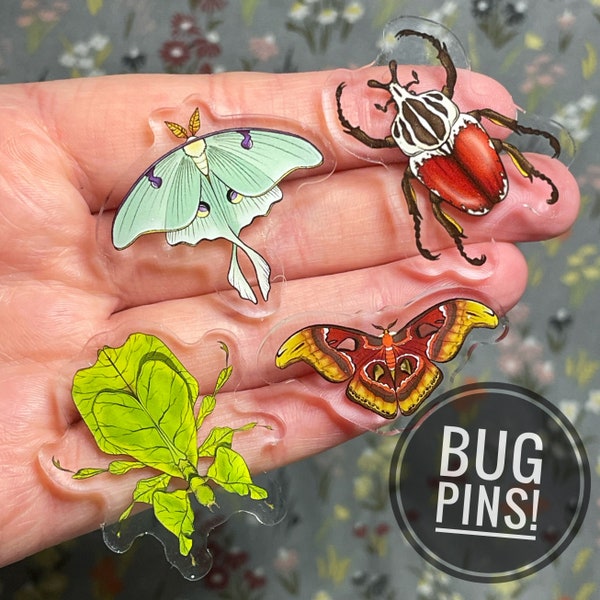 Bug Pin Collection | Moth | Beetle | Acrylic Pins