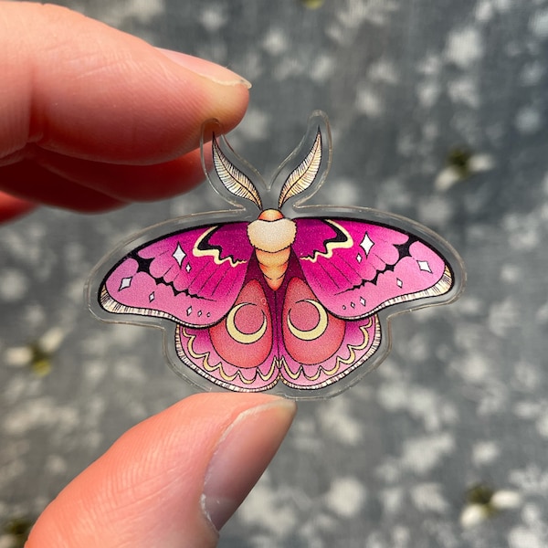 Pride Moth Pin (Sexualities) | Acrylic Pin | Moth Pins | Insect Art | Pride Art | Pride Flags | Subtle Pride