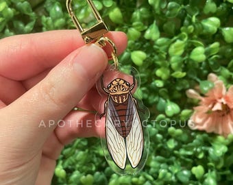 May include: A gold keychain with a clear charm featuring a detailed illustration of a cicada with brown, white, and yellow markings.